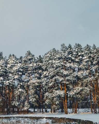 Mihnovets в LOOKY. #photoonphone. [#photo](photo) [#ph...