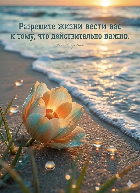 Tatiana Ubushaeva в LOOKY — публикация