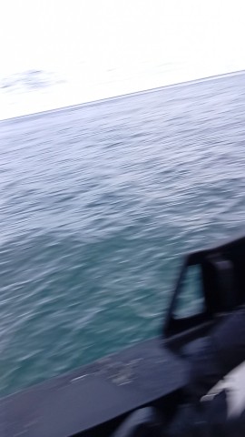 Mikhail_More в LOOKY. #море,#работавморе,#морскойëж. Такие виды #море #ра...