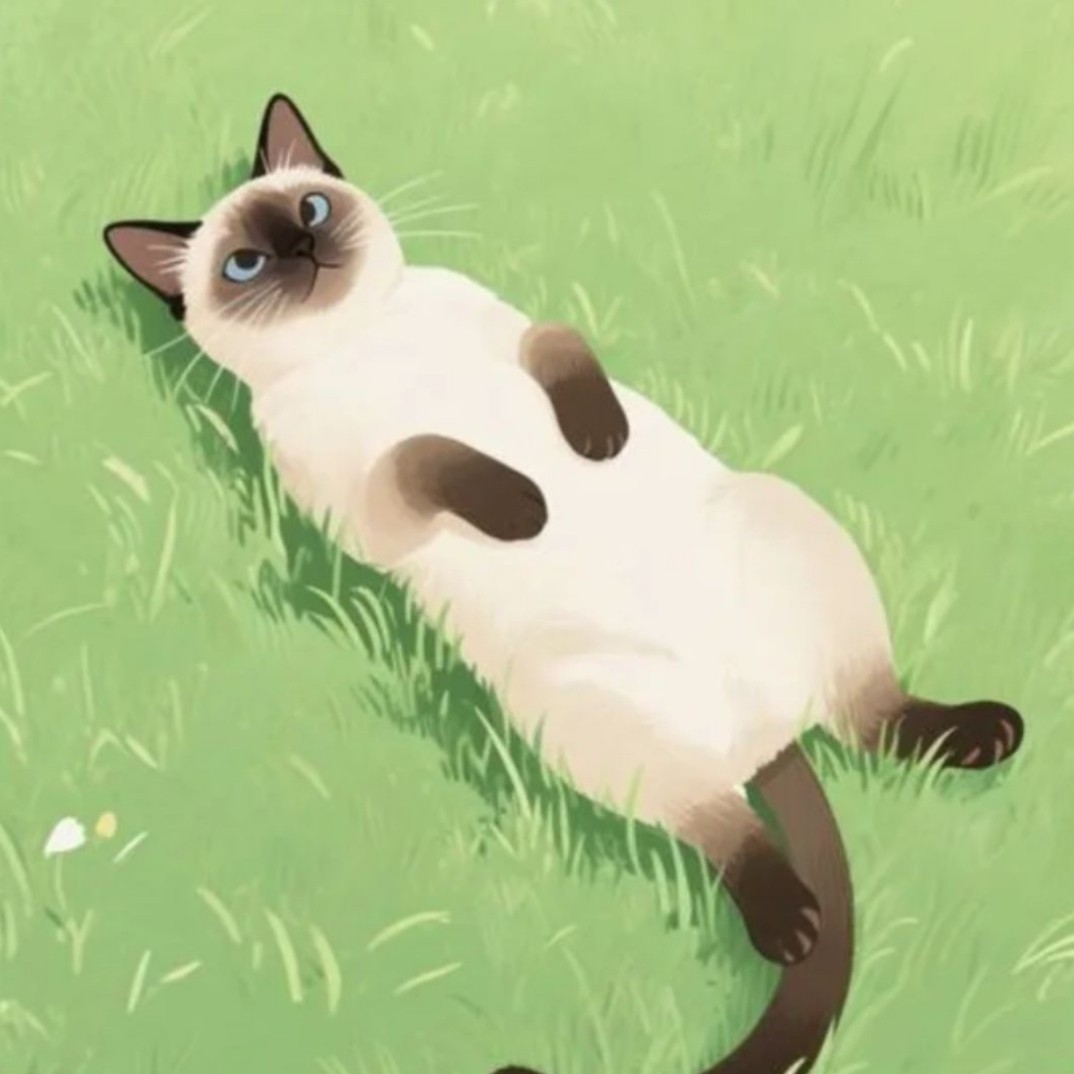  в LOOKY — Лето