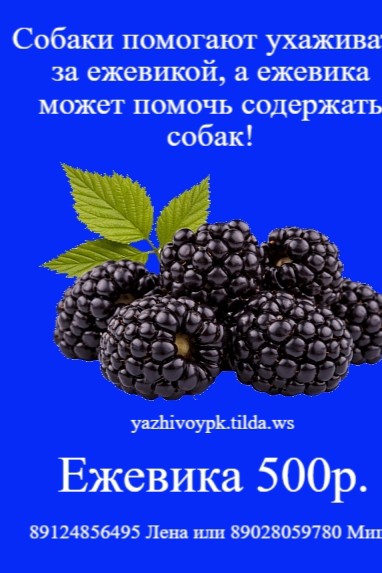 Лена Козлова в LOOKY — фото 4