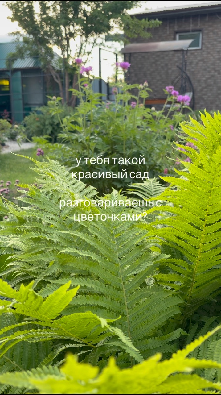 Семья Киндеры в LOOKY — публикация
