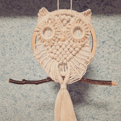 Аля в LOOKY. #рукимакрамуки,#макраме,#алинамараме. Панно "Сова" в техни...