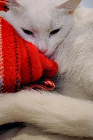Looky_1701101074985 в LOOKY. . "Так сегодня я ездил...