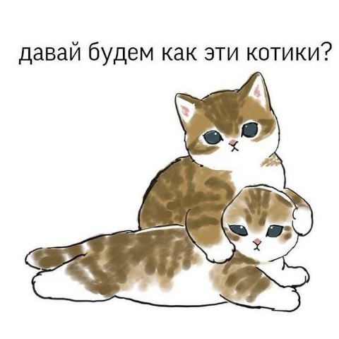 Looky_1700144278869 в LOOKY. . 