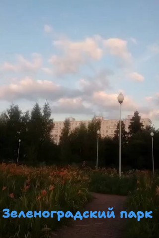  в LOOKY — Зеленоградский парк. Часто летом, на скамейке, на свежем воз