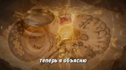 Елена Дианова в LOOKY. #психологиятела,#телеснаяпсихотерапия,#дыхание,#биоритмы,#реабилитация,#профилактика,#мануальнаятерапия,#здоровоетело,#ментальноездоровье,#осознанность,#психопрактика,#УходЗаСобой,#самопомощь,#остеопатия,#остеопрактика,#красота,#психосоматика,#телесныепрактики,#самопознание,#остеопсихопрактика. 🍀ИНТЕРЕСНЫЙ ФАКТ: К...