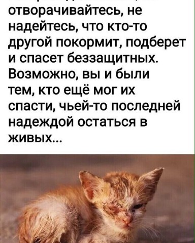 Looky_1689564190874 в LOOKY. . 