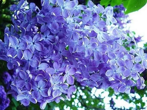 Looky_177001934280610 в LOOKY. . 