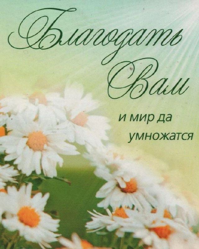 Оксана Труфанова в LOOKY — Вот утро начинается.
Скорей проснись, вставай.
Уж солнце улы