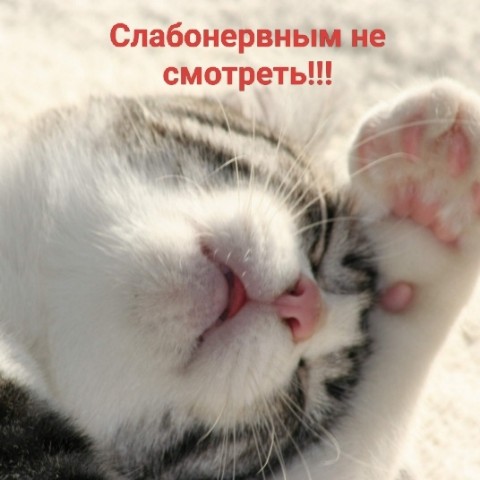 Sekret_Natali в LOOKY. . 23 августа 2026 г. С...