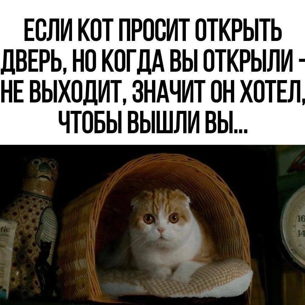 Анжела