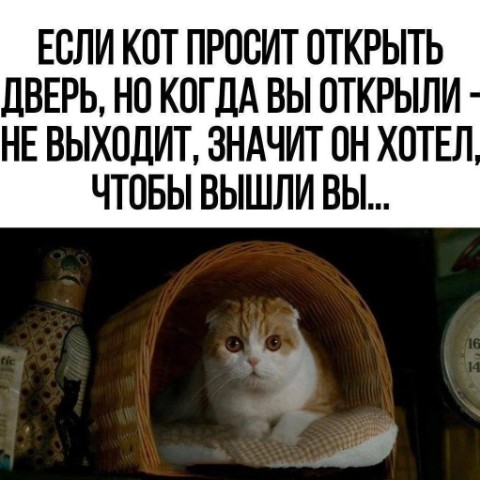 Looky_1698439775933 в LOOKY. . 