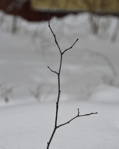 Pavel в LOOKY. . Branch

[#photoofthe...