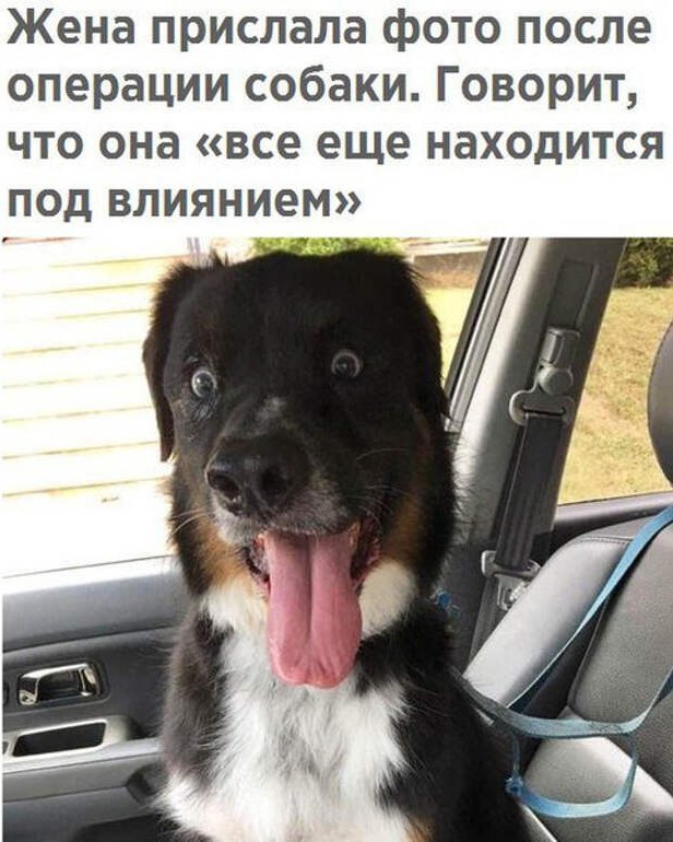 [#приколы](приколы) [#мемы](мемы) 