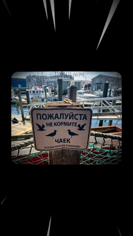 Evgenij2.4.2 в LOOKY — публикация