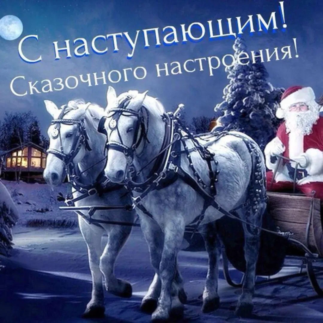 Людмила in LOOKY. . 
