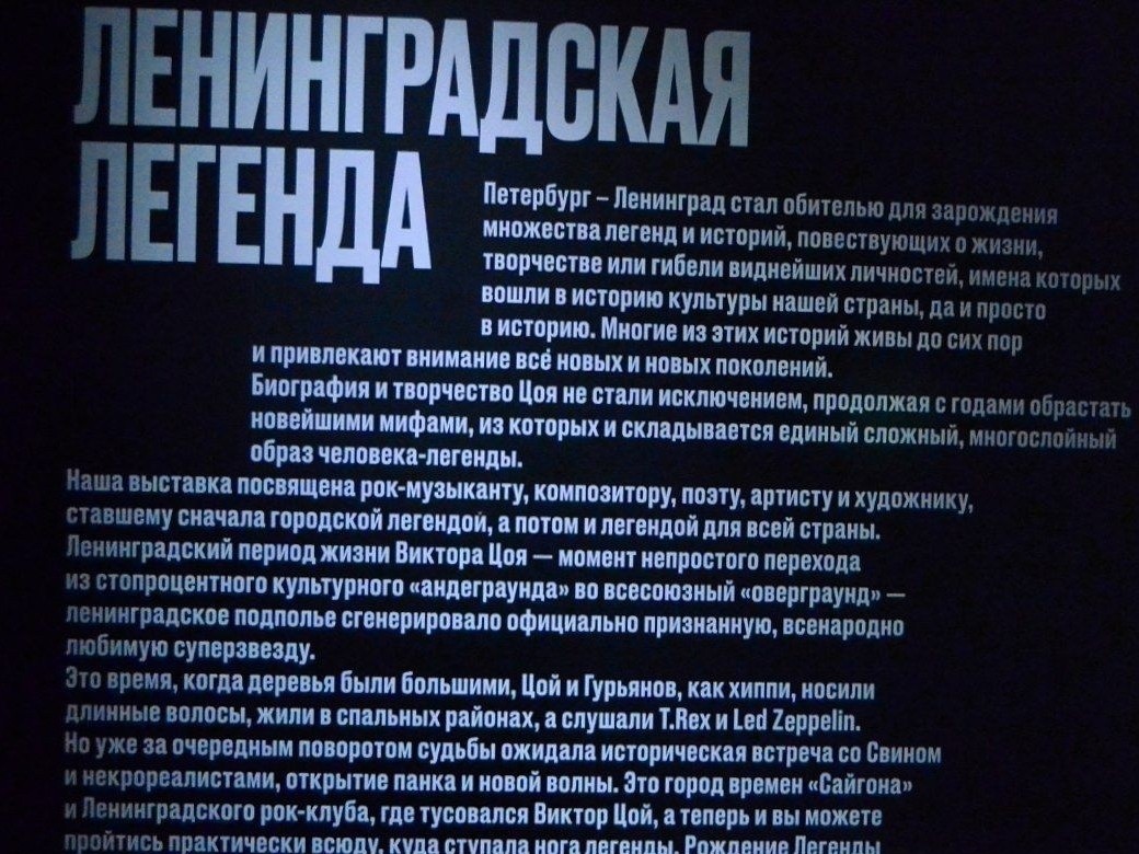 кошка ТЕОРЕМА в LOOKY — фото 2