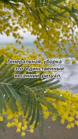 Nafan_ya в LOOKY. #природа,#мысливслух,#юмор,#сарказм,#врек,#Подпишись,#истории,#жизньигра. #природа #мысливслух...