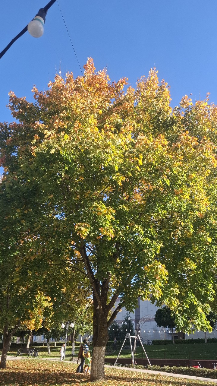 Валентина в LOOKY — Я желаю вам тёплой осени 🤗🍁🌞