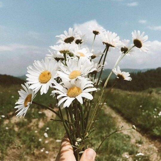 Виктория в LOOKY — публикация