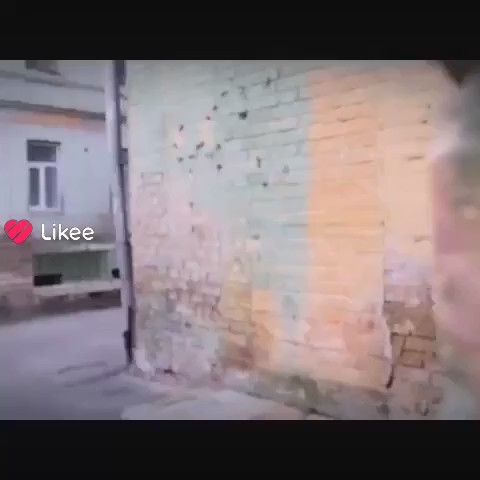 Рассветный Лапка в LOOKY — публикация
