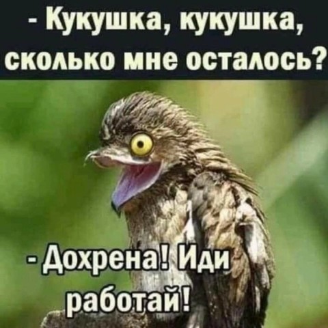 Nirvana в LOOKY. . 
