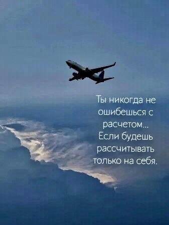 Welfare в LOOKY. . 