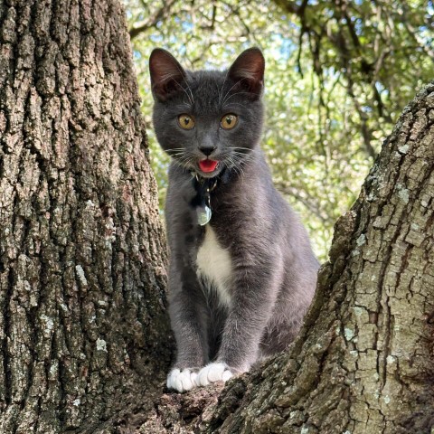 Damien в LOOKY. . He's just a baby kit...