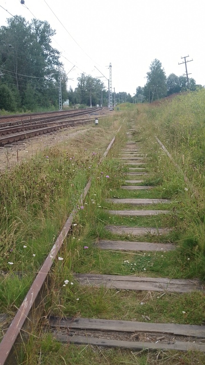  в LOOKY — публикация