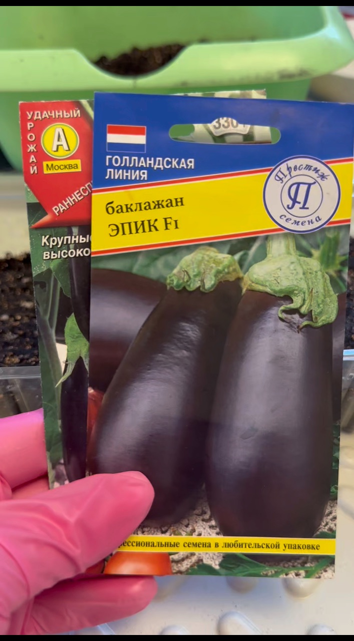 sad_s_dushoy в LOOKY. #дача. Пора сеять баклажаны...