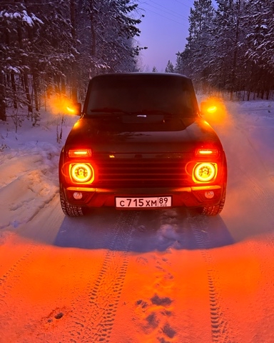Виталий в LOOKY. #Золотое_дно. #Золотое_дно
