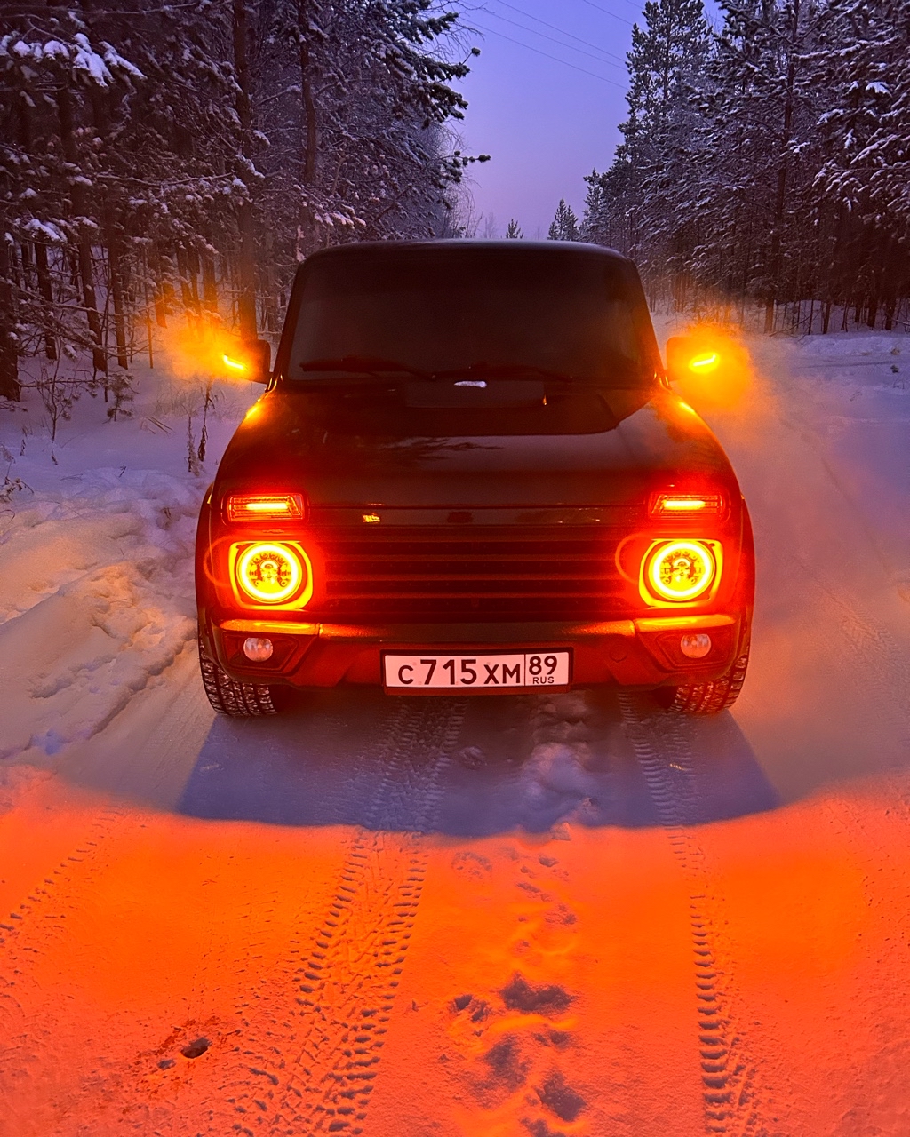 Виталий в LOOKY — #Золотое_дно