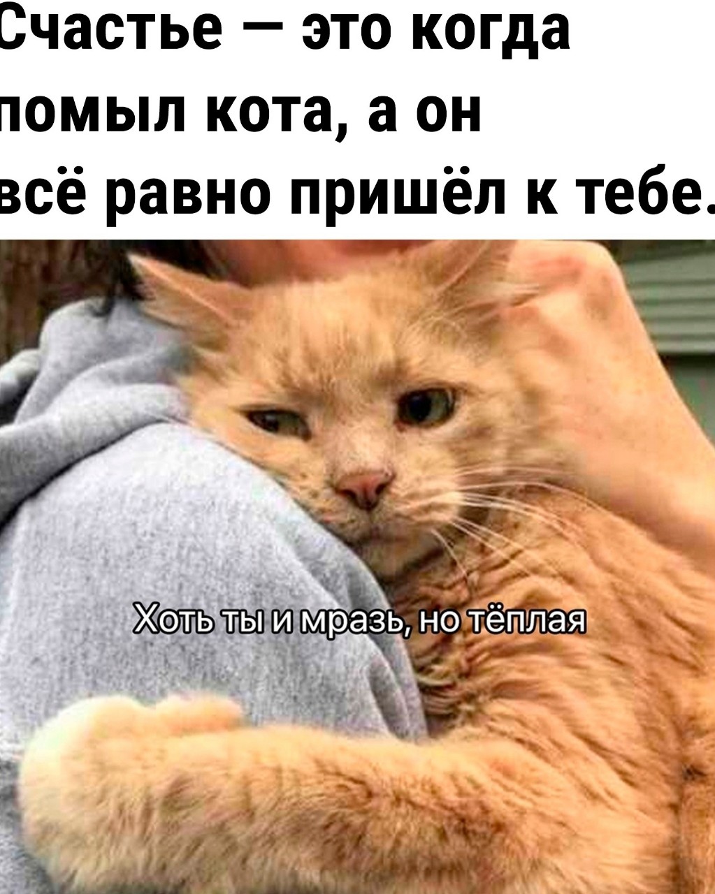 Looky_1700135248900