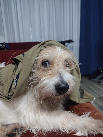 Юля Дарвин в LOOKY. #доброеутро,#МойДарвин. #доброеутро , всем! ...