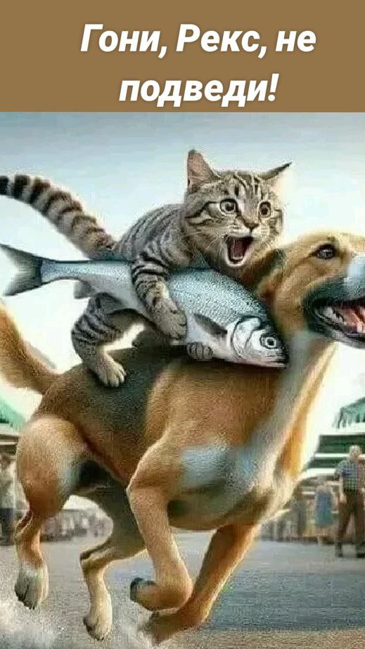 Сумеречный Сон в LOOKY — публикация