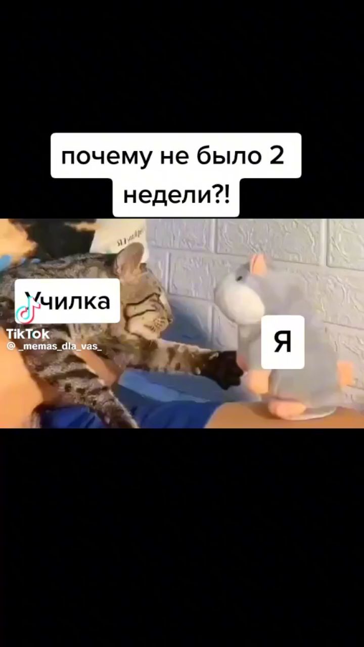Looky_177601251171850 в LOOKY. #яиучилка. #яиучилка