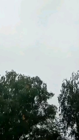  в LOOKY — https://giga.chat/link/gcsYzXepUG