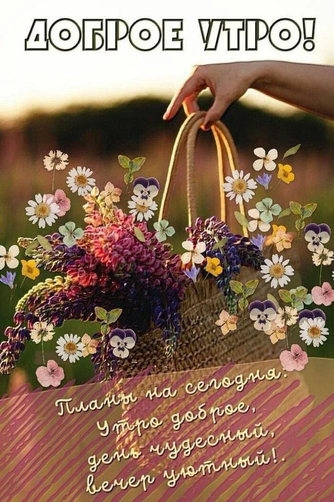 Татьяна59 в LOOKY — публикация