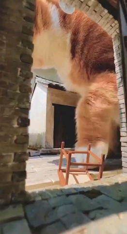 Я - Оксана - Талассоконсультант в LOOKY. . Всем Прекрасных солн...