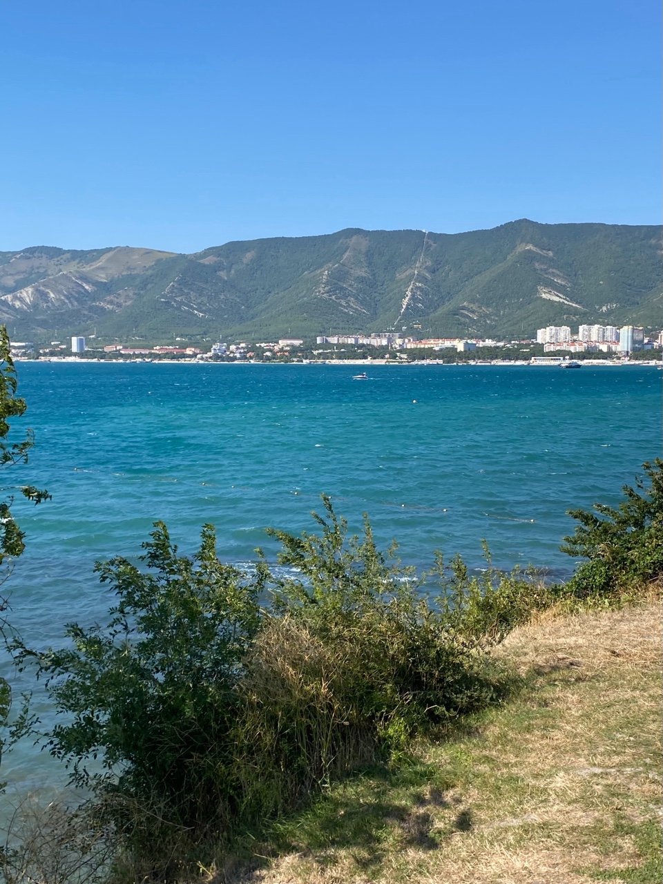 Немного ветрено, но ооочень жарко🌞
Температура воды в море +23
🌊 

   Подписывайтесь !!!
Отмечайте нас на фото и видео, ставьте хештег #lovegelendzhik и вас увидят все🫶

   Присылайте свои фото и видео в личные сообщения и мы их опубликуем , отметив вас 😘

#геленджик #лето #курорт #курортыроссии #море #горы #бухта #набережная 
#looky #look_блогер  #looky_контент #looky_you #лето2026