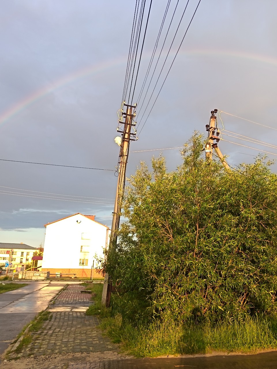 [#радугапоследождя ](радугапоследождя)