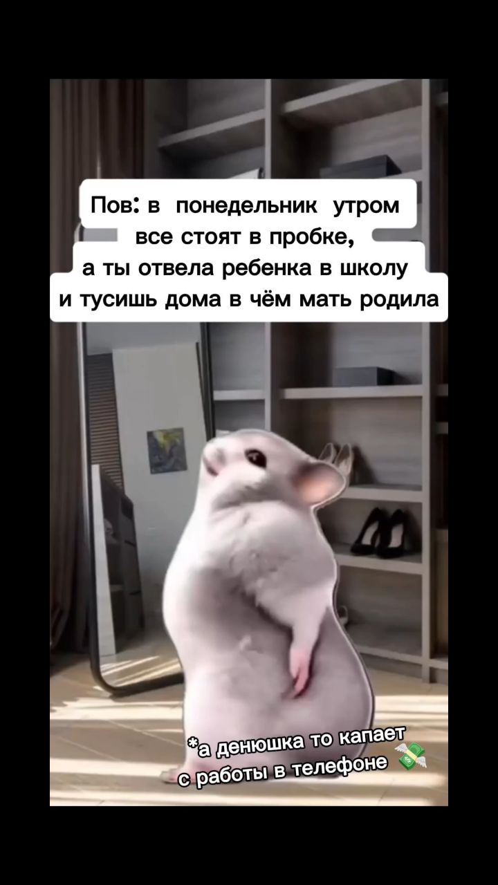 Настя_Кисс в LOOKY. #фриланс,#работадома,#лучшаяверсиясебя,#деньгитут,#доходбеззабот. ЗАРАБОТОК ИЗ ДОМА

Б...
