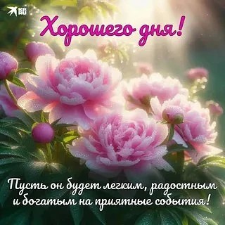 Сириус в LOOKY — публикация
