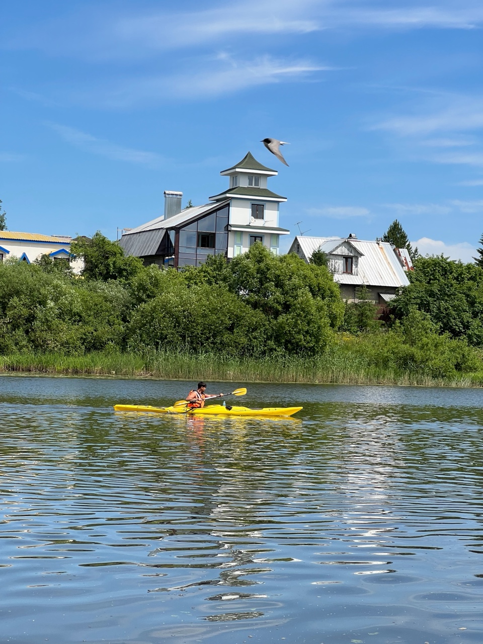 sergey_ve4erkins в LOOKY. . Поехали на сплав 🛶