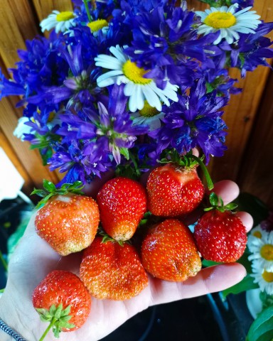Светик в LOOKY. . Вкусное лето
