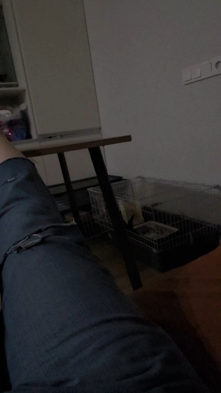  в LOOKY — 🐦‍⬛ как заставить себя делать то, что ты не хочешь?