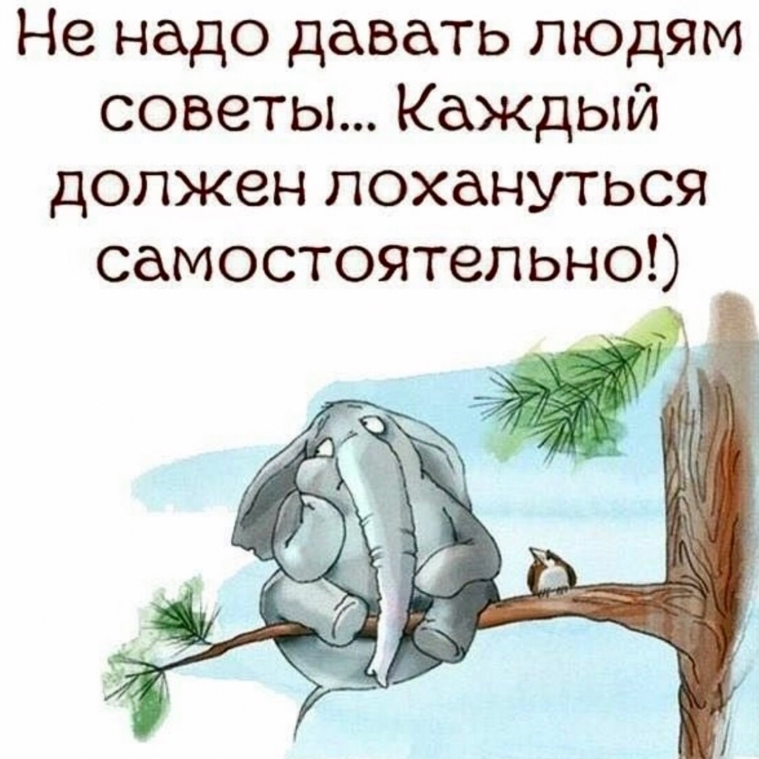  в LOOKY — публикация