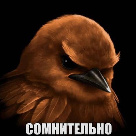 Whitach в LOOKY — 13,6 млн рублей — именно столько государство потратит на пер