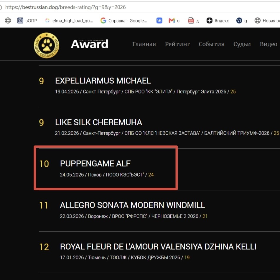 puppengame in LOOKY